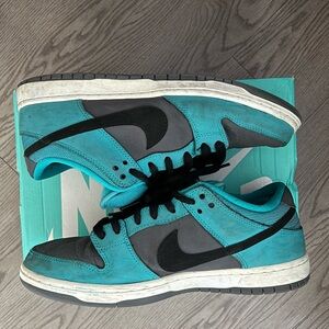 Nike SB Teal and Black Sneakers